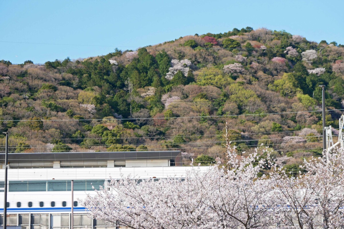 二川駅から