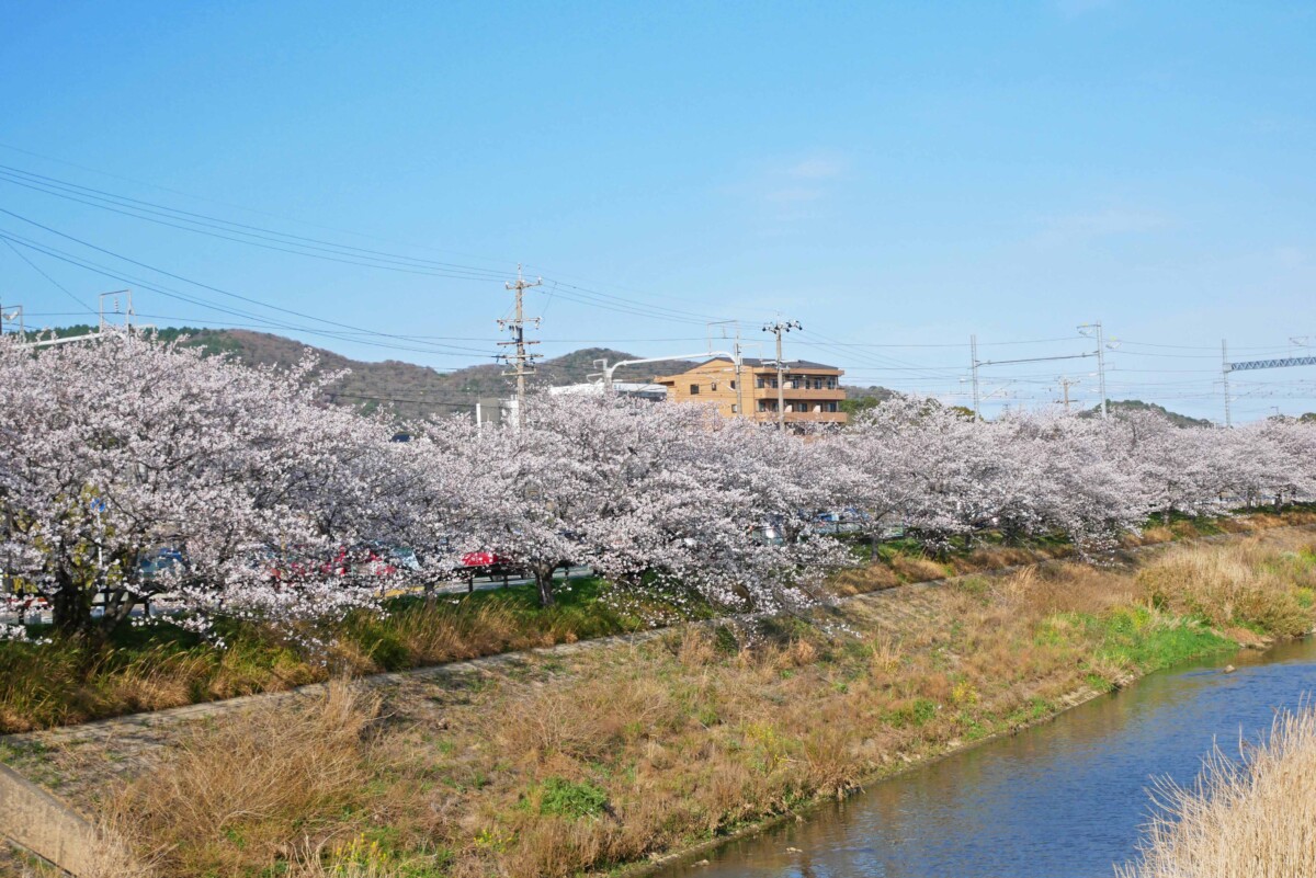 二川駅から