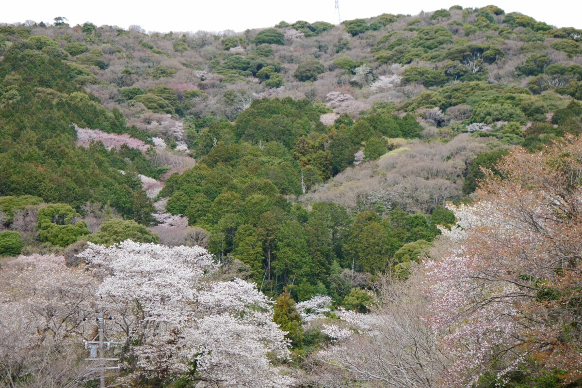 大脇用水路