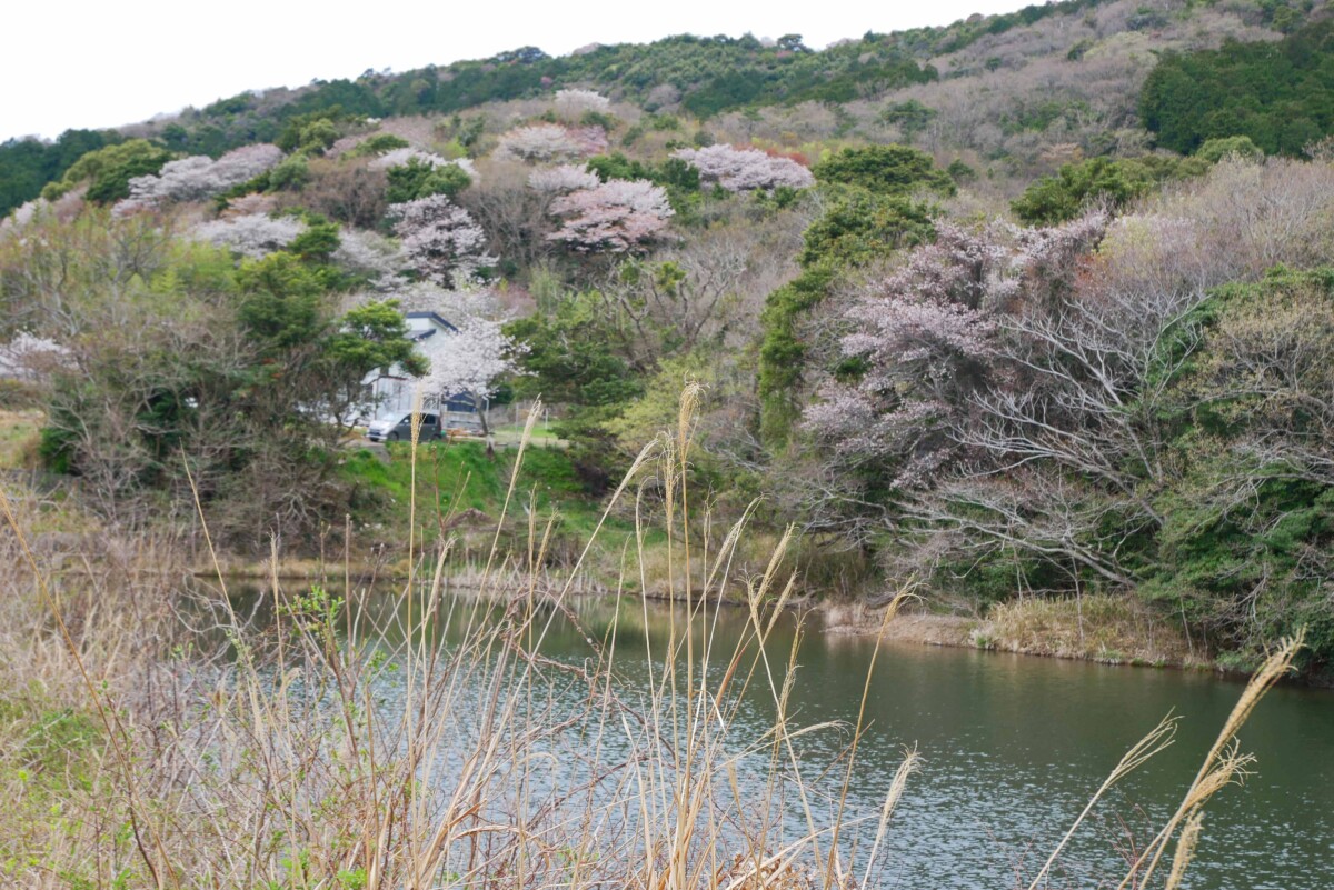 山ノ池