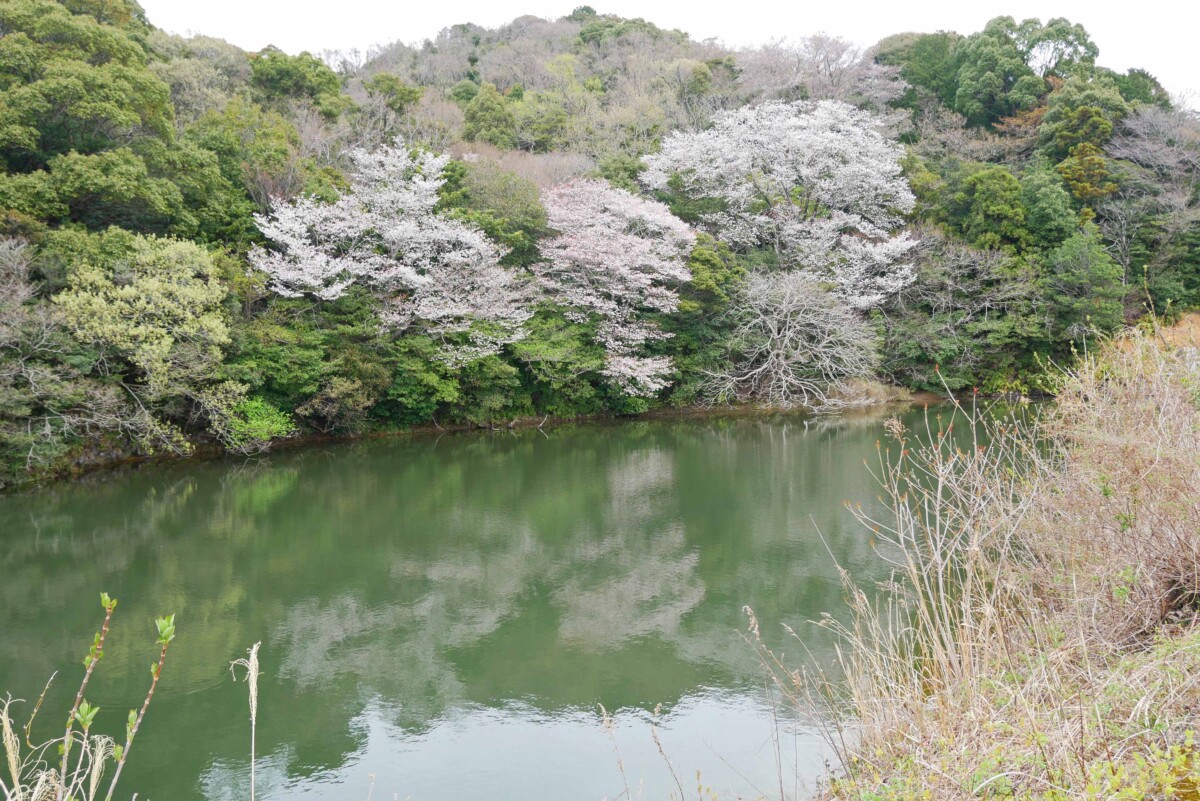 山ノ池